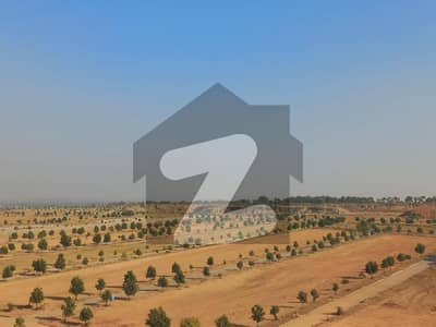 Develop Plot All Dues Clear