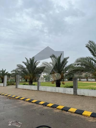مدراس