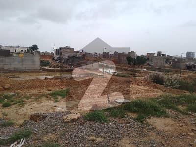 نارتھ