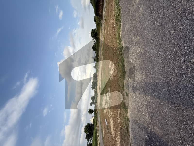 Pair Plot For Sale Pair Plot For Sale