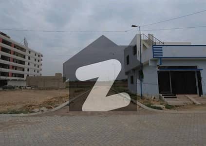 نارتھ