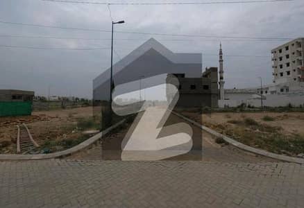 نارتھ