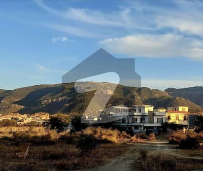24 Marla Plot with Extra Land Available For Sale On Investor Rate In Sector D-12 , Islamabad