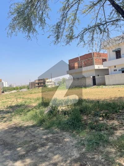 آئی
