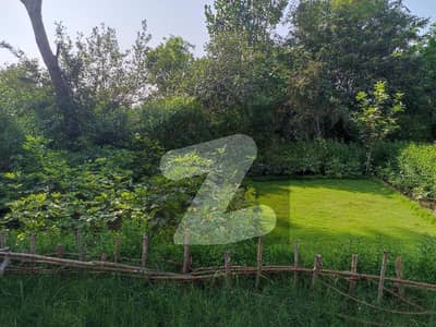 House For Sale 6 Marla G8/2 Near Pims