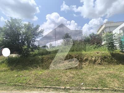 نیول