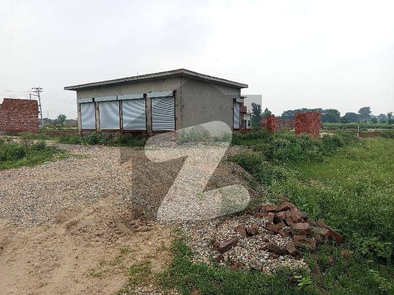 Looking For A Good Location Commercial Plot In Lohianwala Looking For A Good Location Commercial Plot In Lohianwala