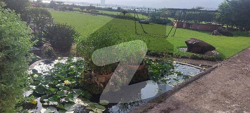 5 Kanal Farmhouse For Rent