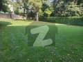 32 