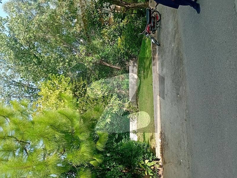 Beautiful Location House Very Reasonable price in G-11/1 Beautiful Location House Very Reasonable price in G-11/1