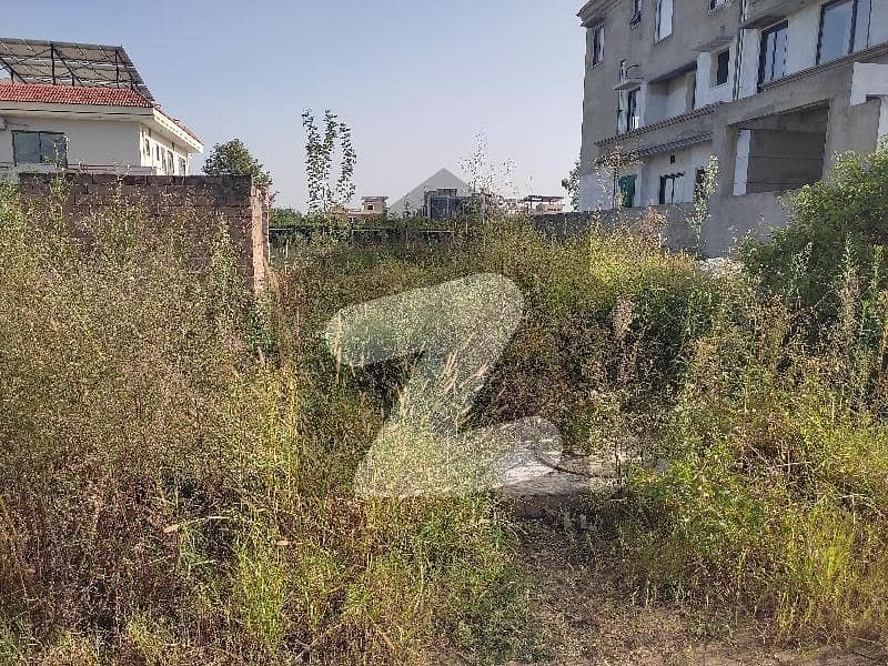 Plot For Sale Size 60*90 Plot For Sale Size 60*90