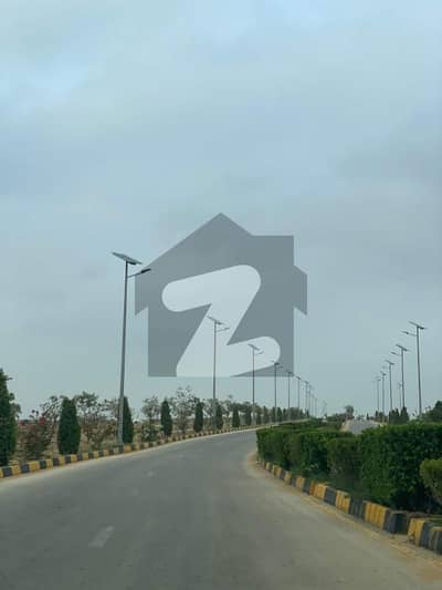 ڈی