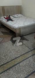 26 