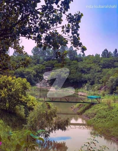 1 Kanal Corner Solid Plot For Sale Block D Street-19 Near To Main Entrance