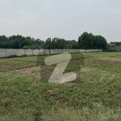 بدھائی سڑک پشاور میں 12 کنال رہائشی پلاٹ 14.4 کروڑ میں برائے فروخت۔