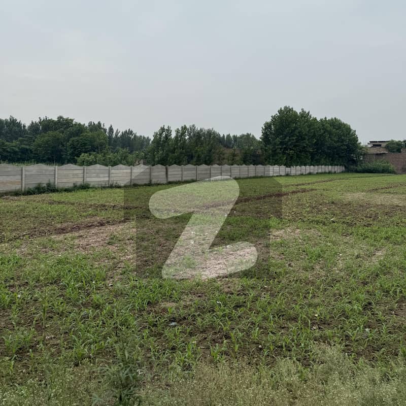 بدھائی سڑک پشاور میں 12 کنال رہائشی پلاٹ 14.4 کروڑ میں برائے فروخت۔ بدھائی سڑک پشاور میں 12 کنال رہائشی پلاٹ 14.4 کروڑ میں برائے فروخت۔