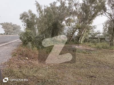 جی ٹی روڈ لاہور میں 15 کنال زرعی زمین 15.0 کروڑ میں برائے فروخت۔