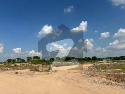 Gulberg