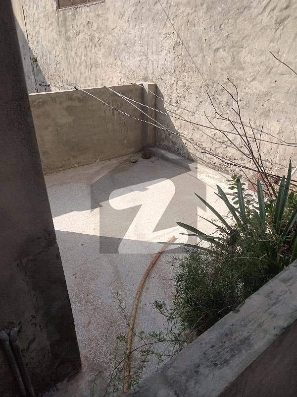 20 