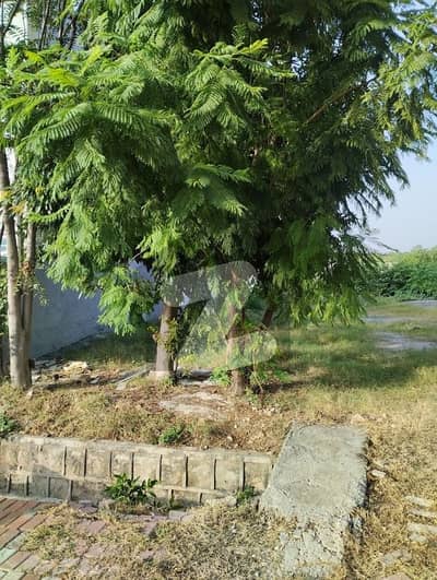 10 Marla Level Plot With BackOpen Investor Rate