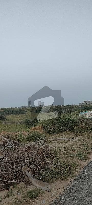 ڈی