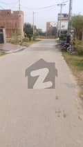 20 
