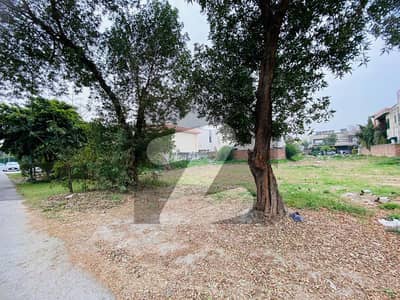 22 Marla Corner Plot for Sale Prime Location Near Sports Complex DHA Phase 6 Block B, Lahore