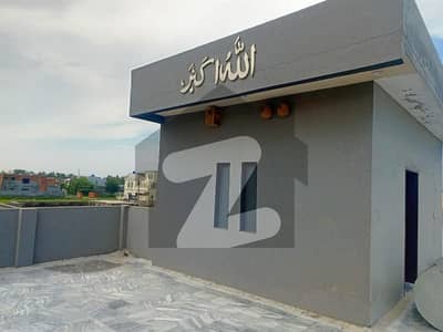 چنار