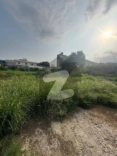 سوئے-اے-اصل