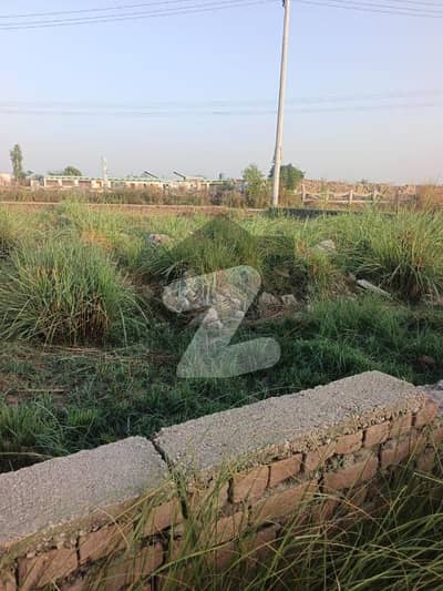 22 Marla Commercial Plot Is Available For Sale On Ring Road Near Toru Mardan