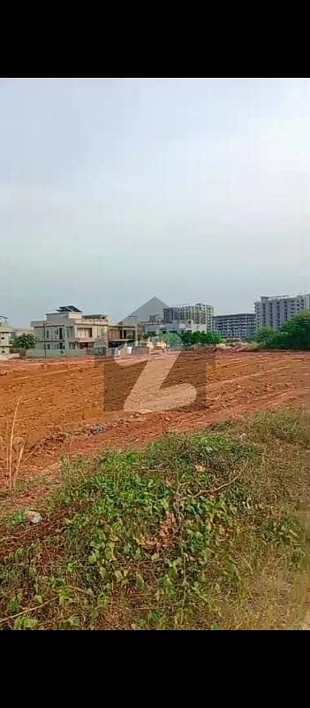 Bahria
