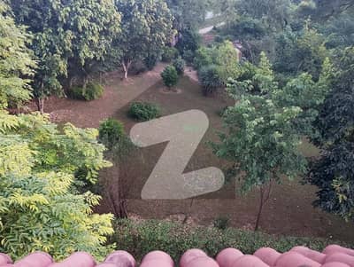G-8
