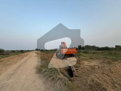 لیک