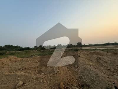 لیک
