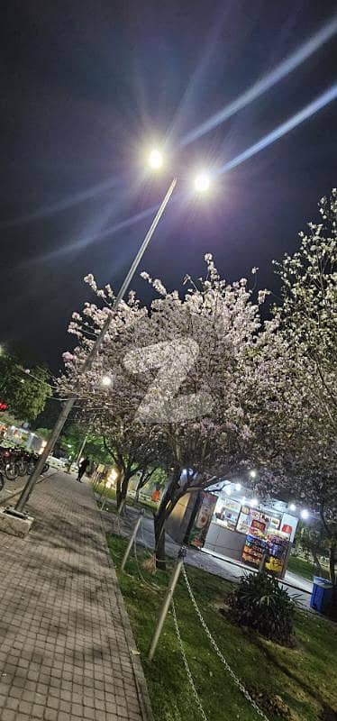 1 Kanal Beautiful House for Sale Investor deal 1 Kanal Beautiful House for Sale Investor deal