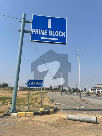 نیو
