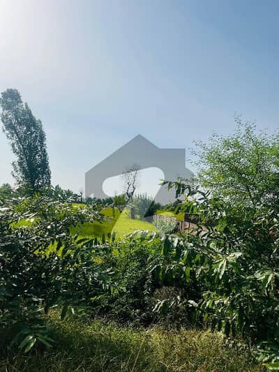 Change Your Address To Good Location Sheikhupura Road, Sheikhupura Road For A Reasonable Price Of Rs. 108000000