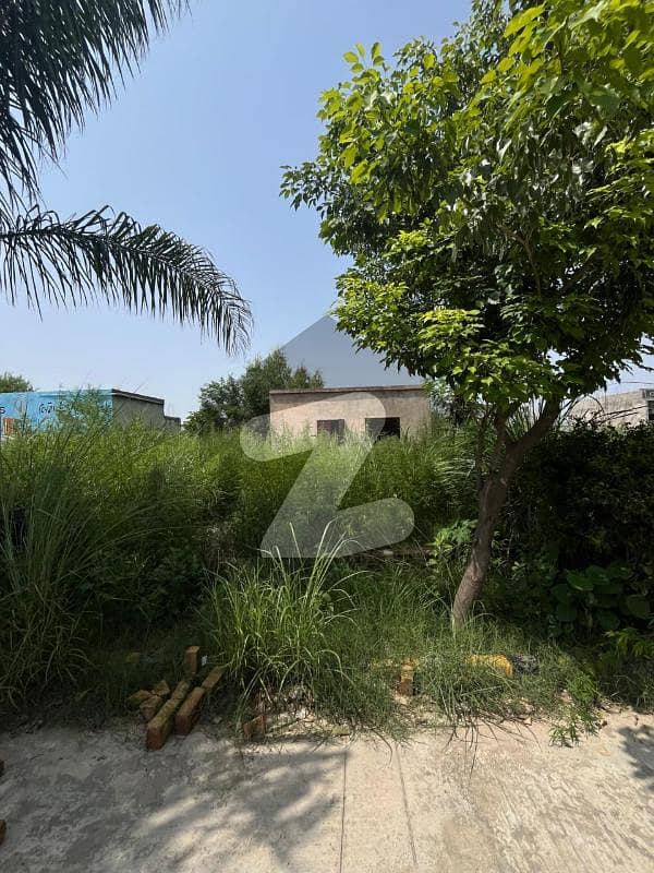 Zamar Valley plot for sale