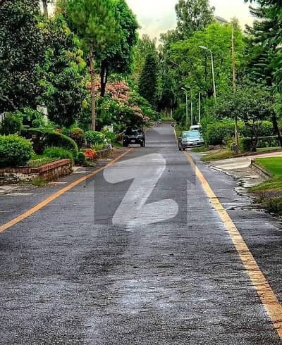 ایف