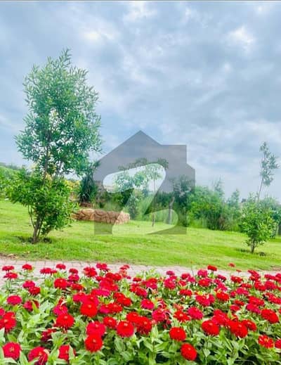 بحریہ