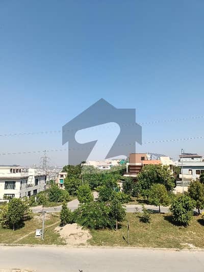 ڈی