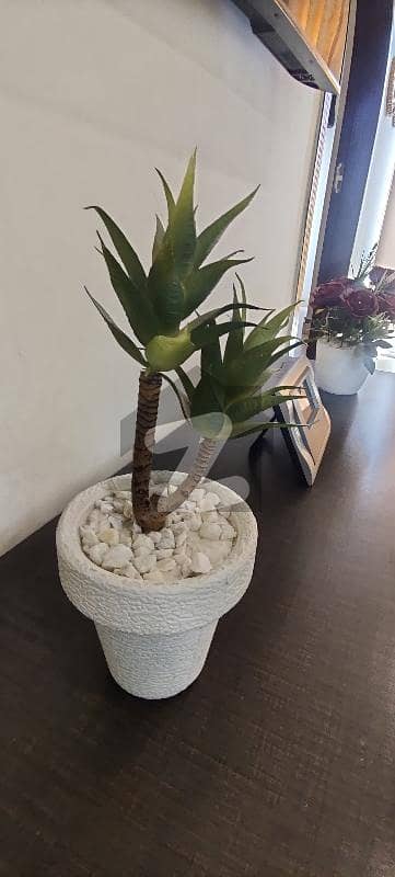 Two Bedrooms Fully Furnished Apartment For Rent