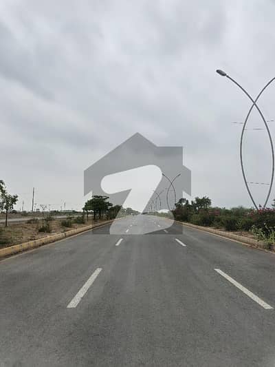 ریگی