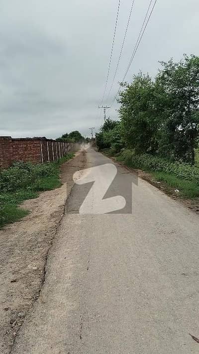 بیدیاں