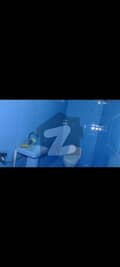 26 