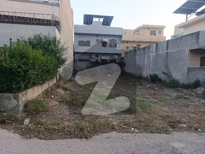 جناح