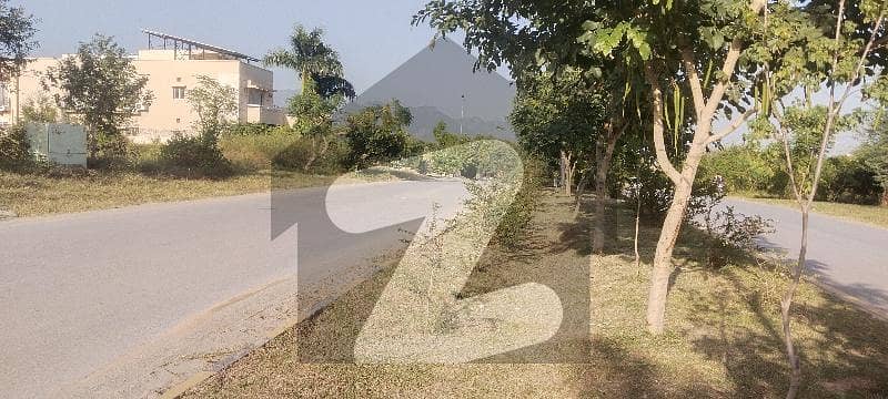 DOUBLE RD IDEAL OPTION DOUBLE RD IDEAL OPTION