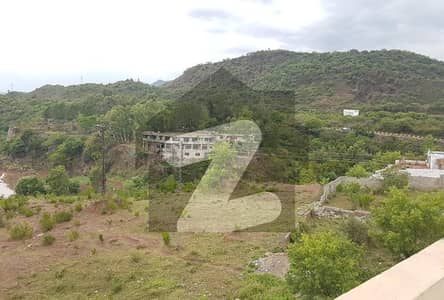 Plot