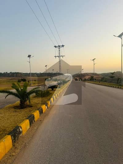ڈی