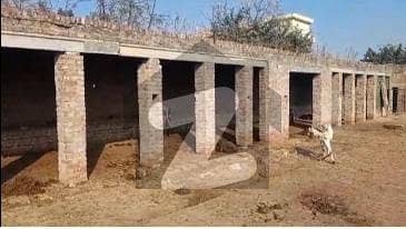 Dairy Farm Available For Rent Dairy Farm Available For Rent